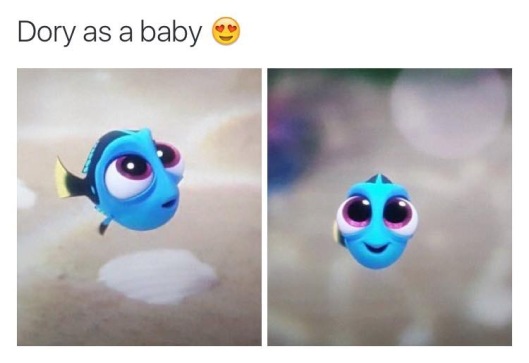 dory as a baby